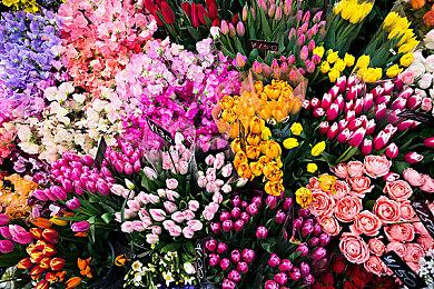 法庭文件证实Xbox One销量不及PS4销量一半