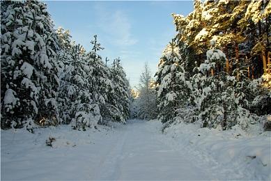 2021TGA“玩家之声”投票开启 最终胜者12月8日宣布